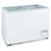 BSCF-150-iBUY.mu-Brunn-Freezer-Showcase-freezer